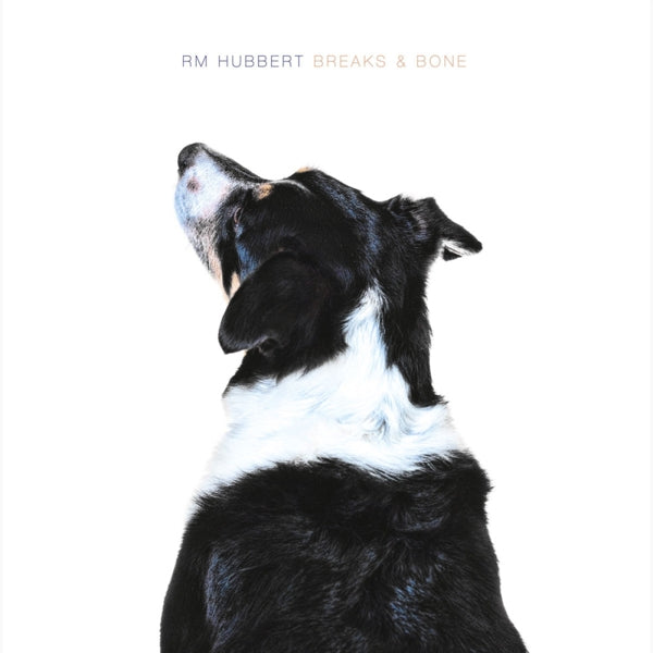 Rm Hubbert - Breaks & Bone |  Vinyl LP | Rm Hubbert - Breaks & Bone (LP) | Records on Vinyl
