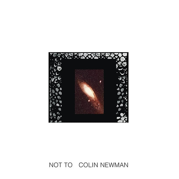 Colin Newman - Not To |  Vinyl LP | Colin Newman - Not To (LP) | Records on Vinyl