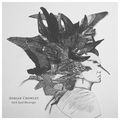 Adrian Crowley - Dark Eyed Messenger |  Vinyl LP | Adrian Crowley - Dark Eyed Messenger (LP) | Records on Vinyl