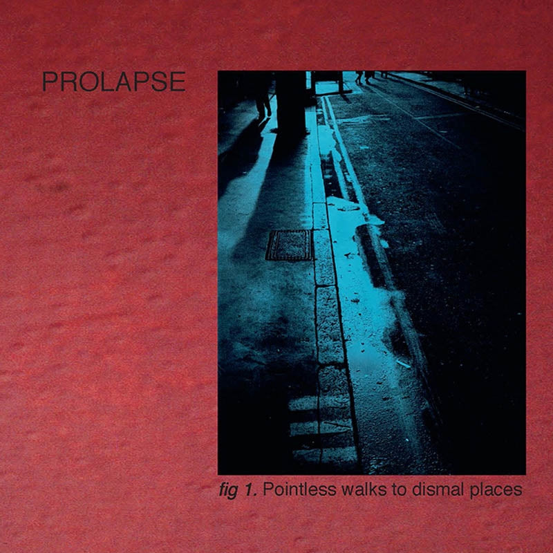  |  Vinyl LP | Prolapse - Pointless Walks To Dismal Places (2 LPs) | Records on Vinyl
