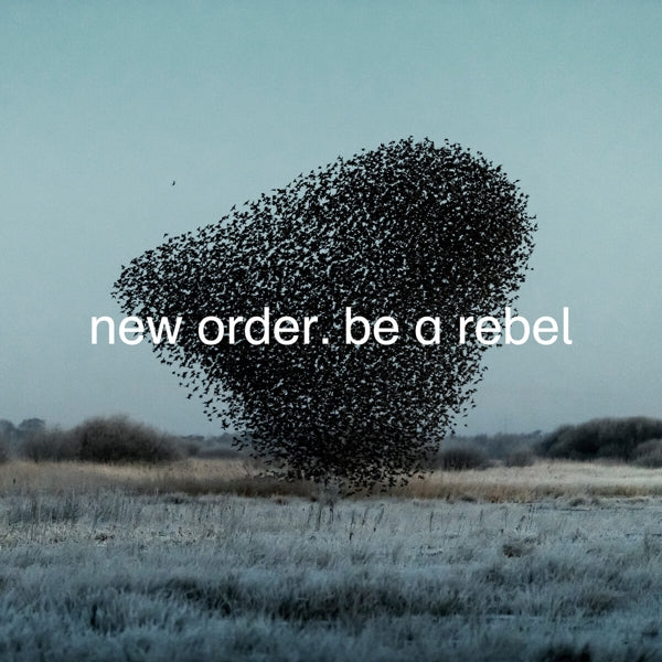 New Order - Be A Rebel | 12" Single | New Order - Be A Rebel (Coloured Vinyl) (12" Single) | Records on Vinyl