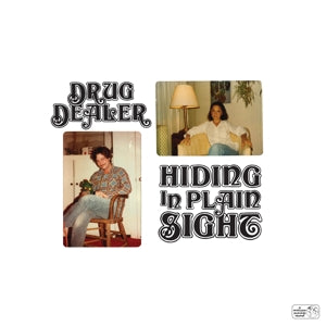  |  Vinyl LP | Drugdealer - Hiding In Plain Sight (LP) | Records on Vinyl