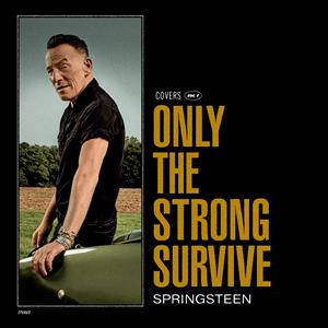  |  Preorder | Bruce Springsteen - Only the strong Survive (2 LP) | Records on Vinyl