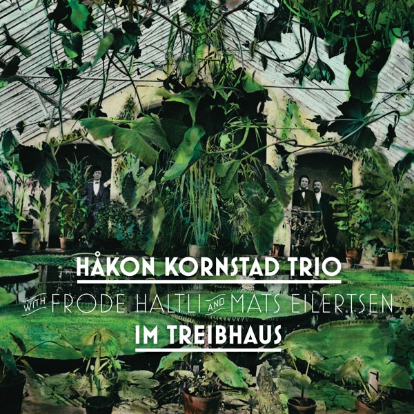 Hakon Kornstad - Im Treibhaus |  Vinyl LP | Hakon Kornstad - Im Treibhaus (LP) | Records on Vinyl