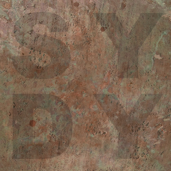  |  Vinyl LP | Shiny Darkly - Bronze (LP) | Records on Vinyl