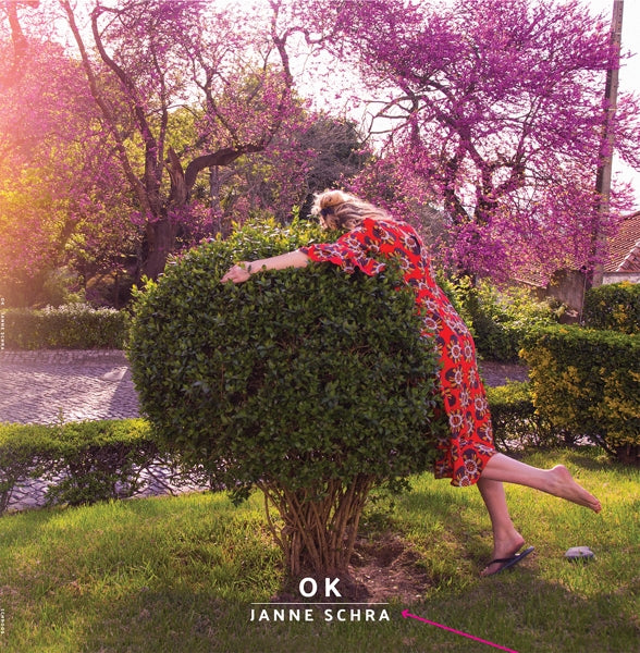 Janne Schra - Ok  |  Vinyl LP | Janne Schra - Ok  (2 LPs) | Records on Vinyl