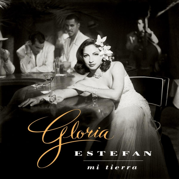 Gloria Estefan - Mi Tierra  |  Vinyl LP | Gloria Estefan - Mi Tierra (LP) | Records on Vinyl