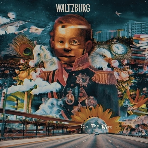 Waltzburg - Cut The Wire  |  Vinyl LP | Waltzburg - Cut The Wire  (LP) | Records on Vinyl