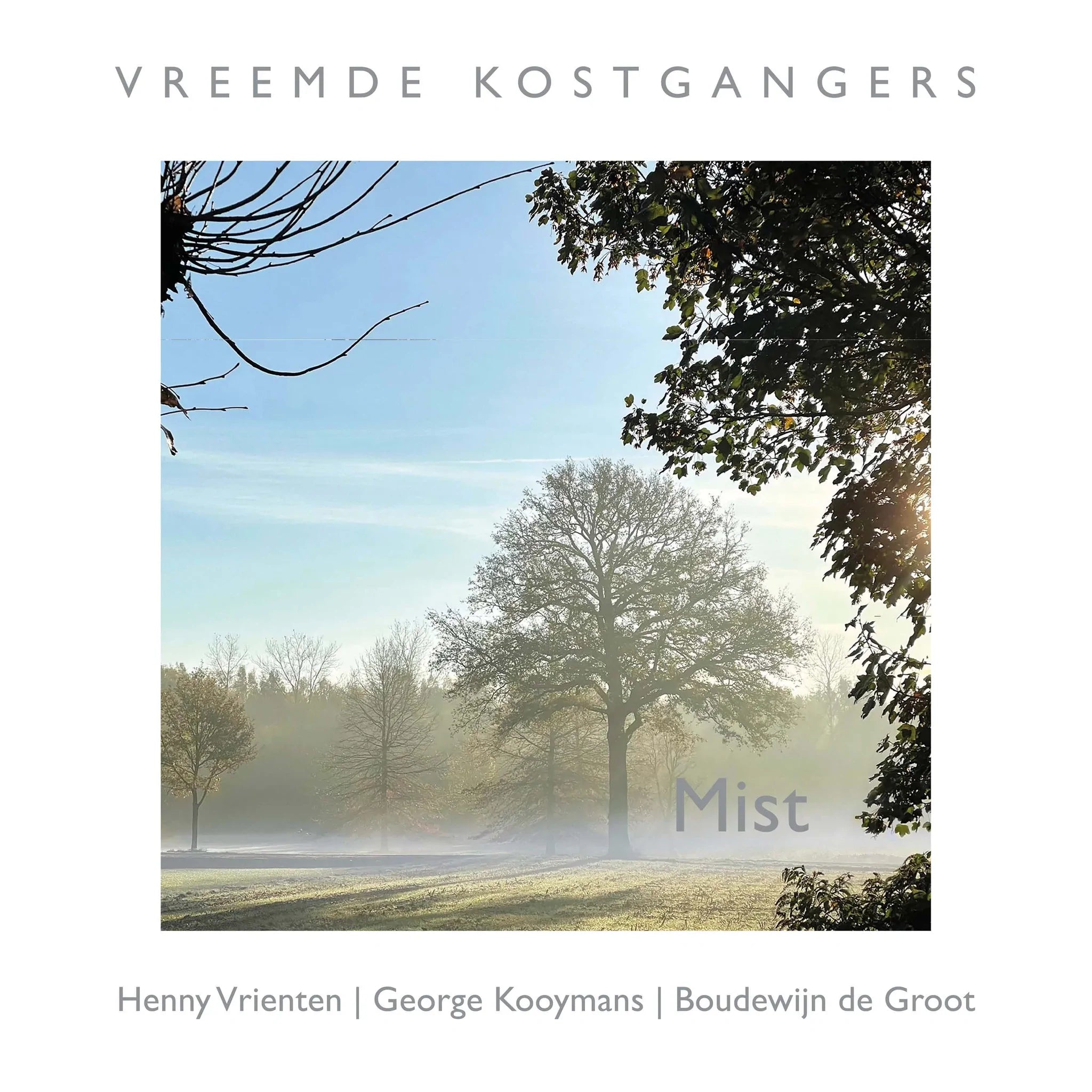  |  Vinyl LP | Vreemde Kostgangers - Mist (LP) | Records on Vinyl