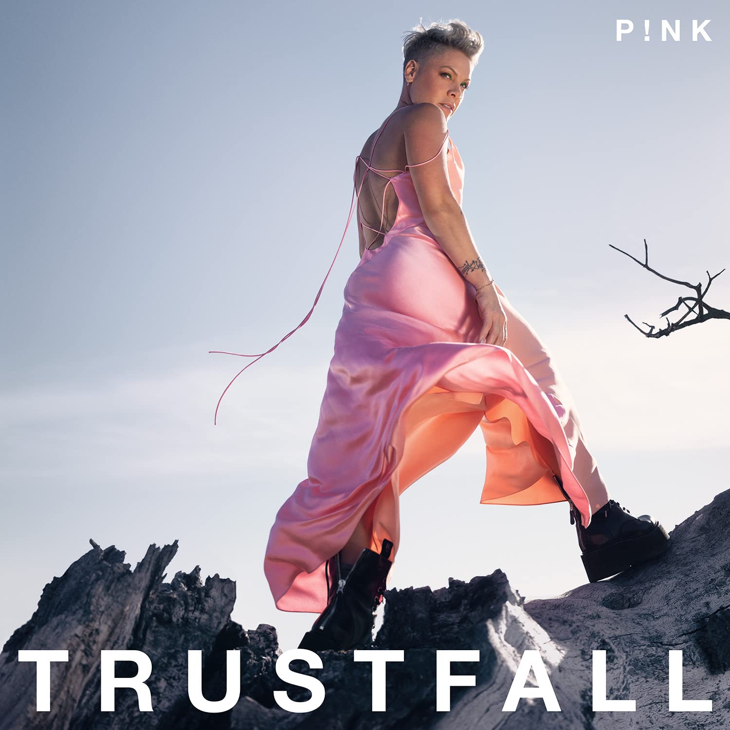  |  Vinyl LP | P!Nk - Trustfall (LP) | Records on Vinyl