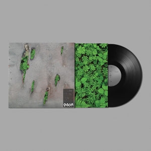 Koreless - Agor |  Vinyl LP | Koreless - Agor (LP) | Records on Vinyl